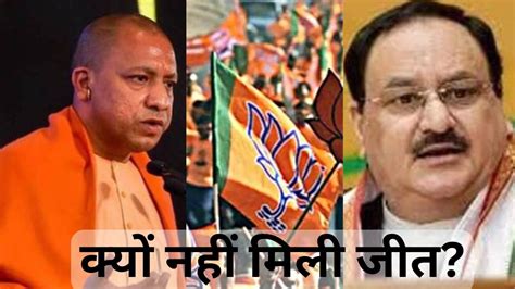 Review Of Bjp Defeat असल कारण नहीं तलाश पाई पार्टी विपक्ष का झूठ यूपी