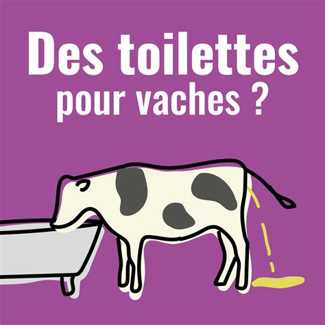 Le Cowtoilet Des Wc Pour Vaches Pour R Duire Les Missions Dammoniac