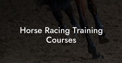 Horse Racing Training Courses - How To Own a Horse