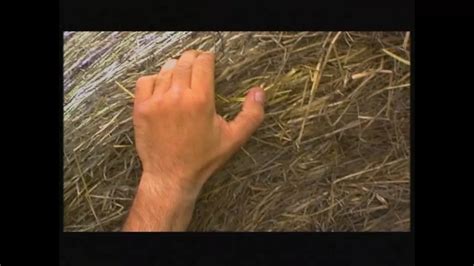 Kathleen White Deutscher Hardcore Porno Videos Xhamster