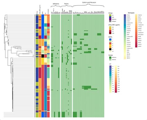 Maximum Common Genome Alignment Of 179 Commensal E Coli Isolates