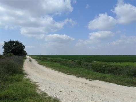 10 Acres Cr 255 Road Garwood Tx 77442 Land And Farm