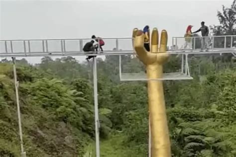 Tourist Dies And 3 Others Injured After 10 Metre High Glass Walkway Shatters At Forest Park