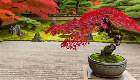 Ultimate Guide To Japanese Maple Bonsai Care