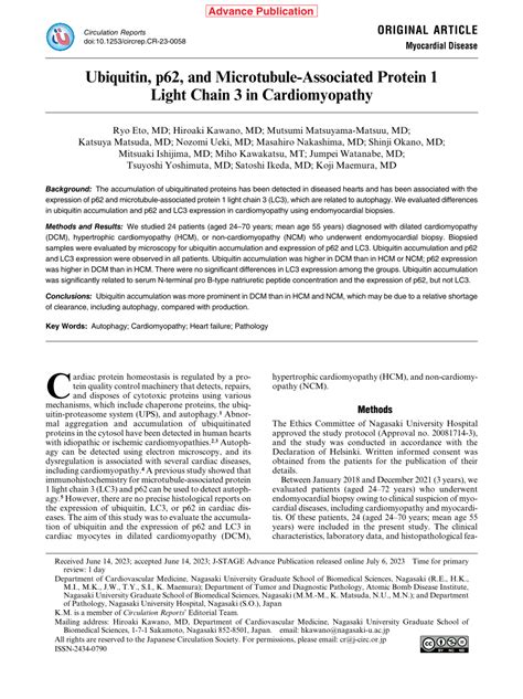 Pdf Ubiquitin P And Microtubule Associated Protein Light Chain