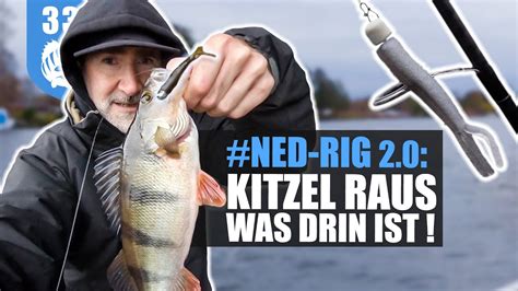 NED RIG 2 0 so FÄNGST du BARSCHE ZANDER an ÜBERFISCHTEN Spots YouTube