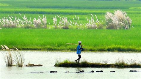 IMD Forecasts Normal Monsoon Rainfall of 88 cm Over India This Year ...