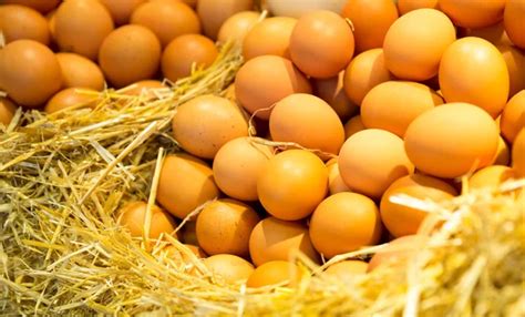 Farm Fresh Chicken Eggs — Stock Photo © vipavlenkoff #29554531