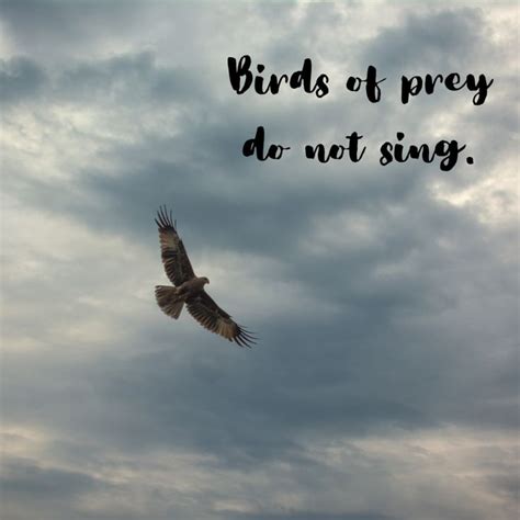 Birds of prey do not sing. - Mindset Made Better | Prey, Birds of prey ...