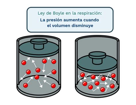 Ley De Boyle Labster Theory