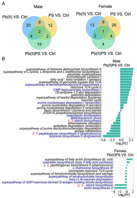 Metabolites Free Full Text Sex Specific Effects Of Polystyrene