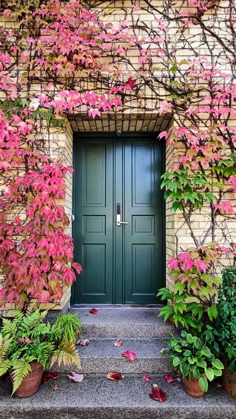 Door Autumn Stairs Plants Hd Phone Wallpaper Peakpx