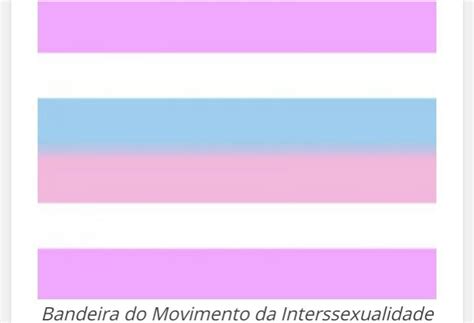 13 Bandeiras Que Representam Identidade Orientação Sexual Ou Gênero