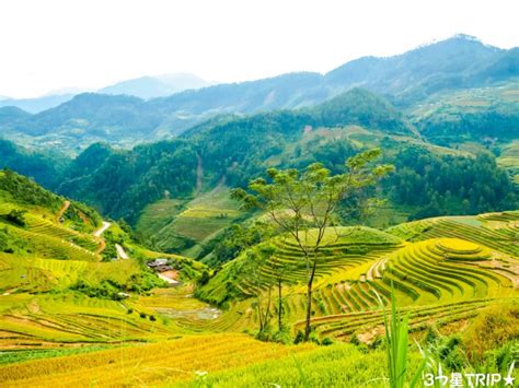 見渡す限り美しい棚田の風景が広がるベトナムのサパ・ムーカンチャイ 世界の絶景・世界の猫探し一人旅