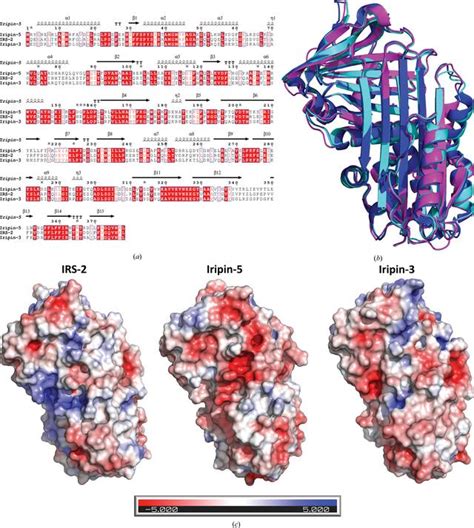 Iucr Structural And Biochemical Characterization Of The Novel Serpin