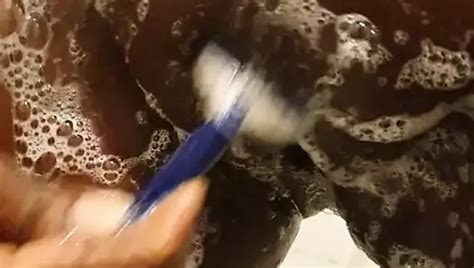 Free Shaving Hairy Pussy Porn Videos 6 XHamster