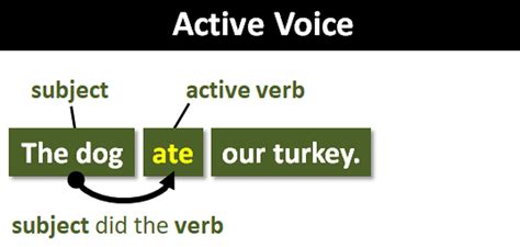 Key Notes Voice English Grammar Basic Class 10 Pdf Download
