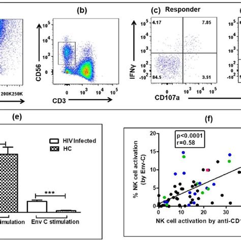 Pdf Fcγriiia Receptor Polymorphism Influences Nk Cell Mediated Adcc Activity Against Hiv