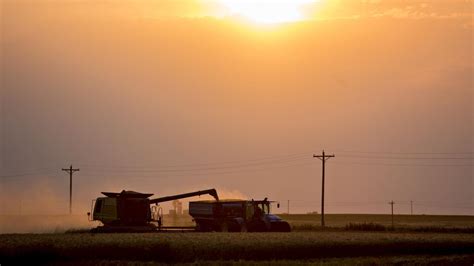 Farmers Pray For Rain To Save Winter Crop