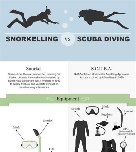 Infographic Scuba Diving Vs Snorkeling California Diver Magazine