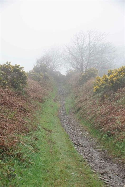 Sunken Greenway Heading For The © Glyn Baker Cc By Sa20