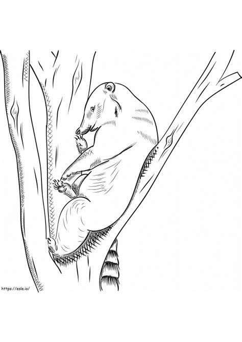 Coati On A Tree Coloring Page