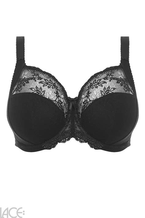 Elomi Meredith Beha I O Cup Lace Lingerie Nl