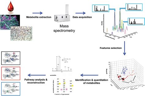 Untargeted Metabolomics Service Creative Proteomics