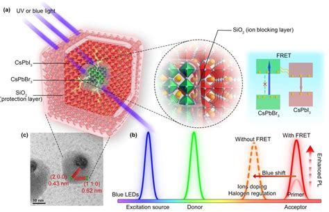 厦门大学针对钙钛矿量子点micro Led全彩显示技术取得突破性进展 行家说