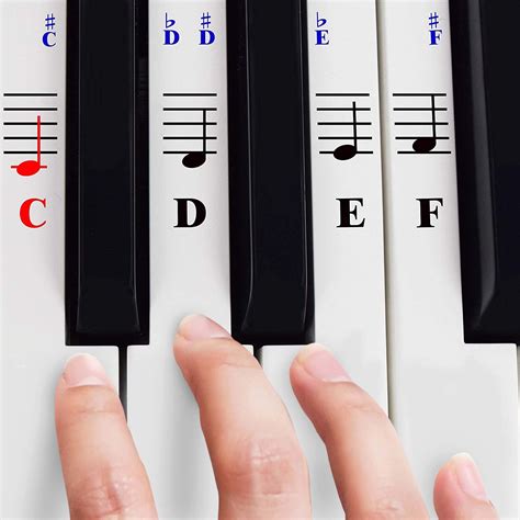 Amazon QMG Piano Stickers For 49 61 76 88 Key Keyboards