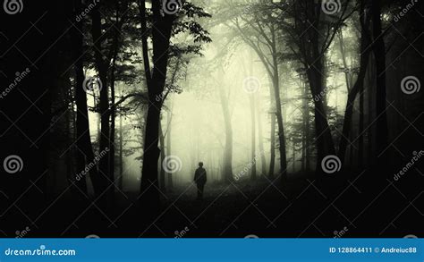 Man in Creepy Forest with Fog on Halloween Stock Image - Image of ...