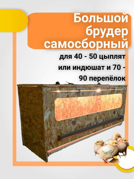 Брудер для цыплят купить на OZON по низкой цене (1593385479)