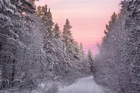 1079217 Sunlight Landscape Forest Nature Snow Winter Photography