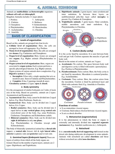 CH 4 | PDF | Mollusca | Anatomy