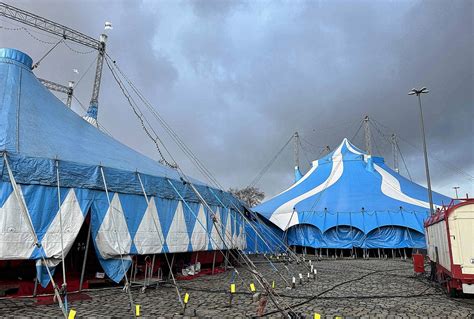 Hochwasser Steigt Weiter Dresdner Weihnachts Circus Abgesagt