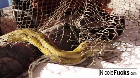 Free Minotaur Porn Videos Xhamster