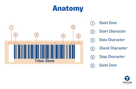 Understanding The Basics Of Code Barcodes