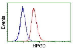 Anti 15 PGDH HPGD Antibody Mouse Anti Human Monoclonal LSBio