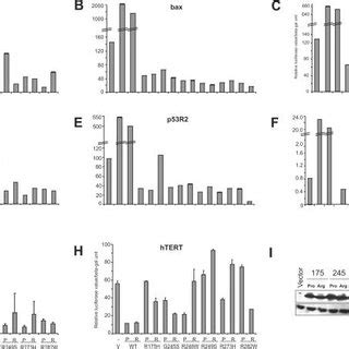 Silencing Of Mutant P Expression Results In Upregulation Of