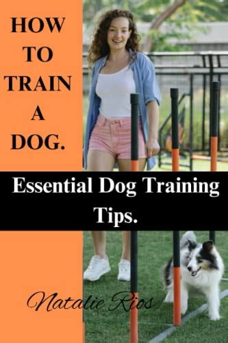 How To Train A Dog Essential Dog Training Tips By Natalie Rios