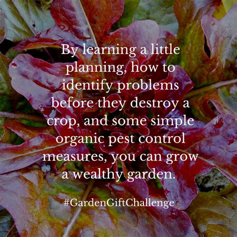 The Wealth My Garden Has Grown for Me - Garden Gift 20