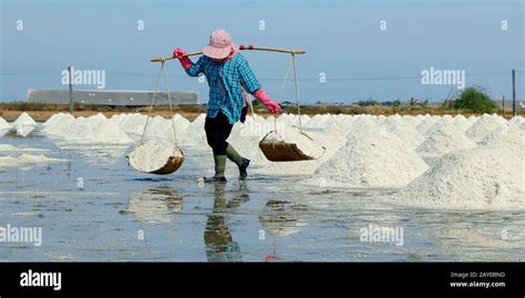 Salt harvesting hi-res stock photography and images - Alamy