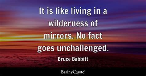 Bruce Babbitt - It is like living in a wilderness of...