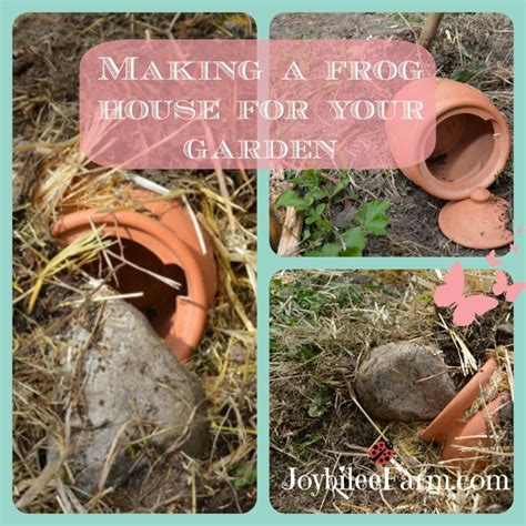 Naturally Reduce Garden Pests by Making a Frog House for Your Garden | Frog house, Toad house ...