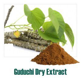 Tinospora Cordifolia Extract Guduchi Extract Manufacturer And Supplier