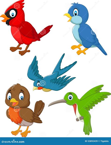 Cartoon Birds For Kids Little Cute Parrot Vector Illustration