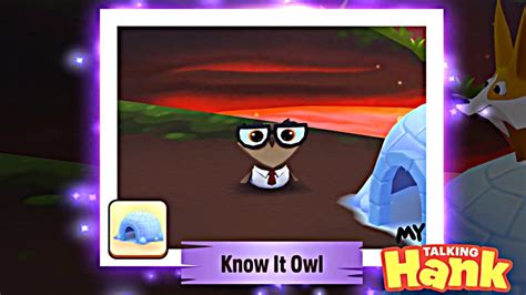 My Talking Hank - Gameplay Walkthrough Part 83 - Know It Owl (iOS, Android) - YouTube