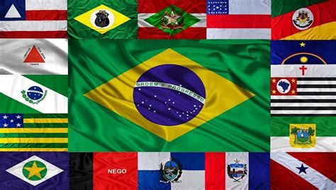 Bandeiras Dos Estados Brasileiros Playing Cards Flag Crest States