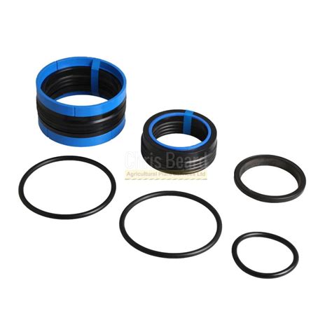 991 00005 JCB Ram Seal Kit Chris Beard APS