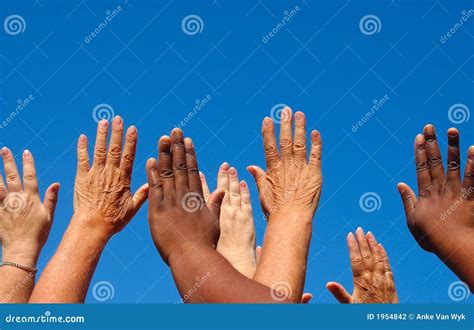 Hands Raised Together Stock Photo Image Of Cheerful Caucasian 1954842